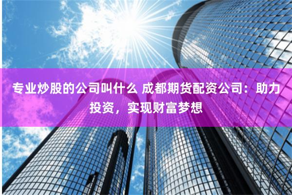 专业炒股的公司叫什么 成都期货配资公司：助力投资，实现财富梦想