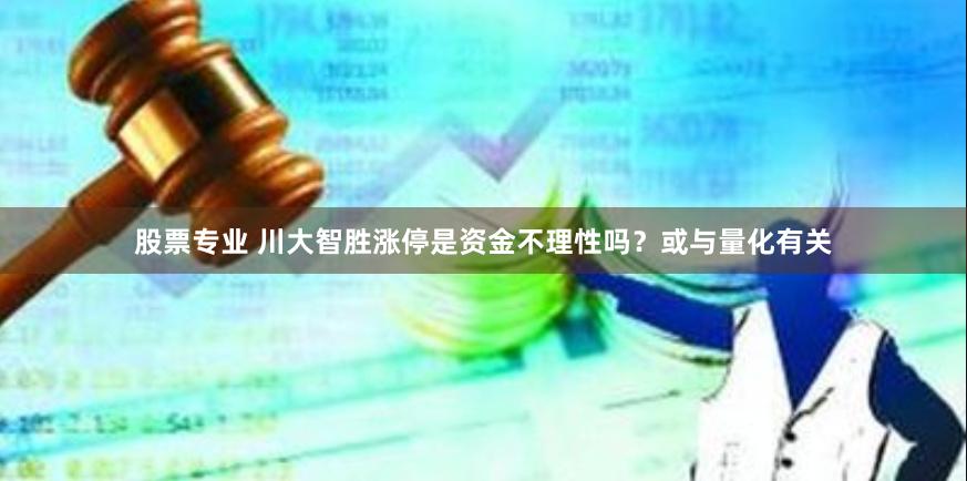 股票专业 川大智胜涨停是资金不理性吗？或与量化有关