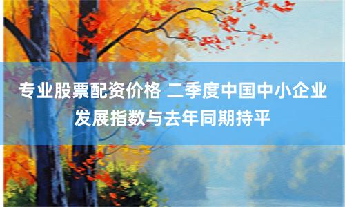 专业股票配资价格 二季度中国中小企业发展指数与去年同期持平