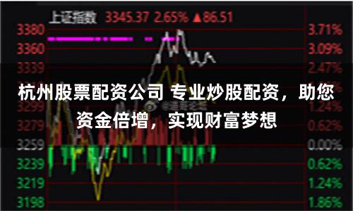 杭州股票配资公司 专业炒股配资,助您资金倍增,实现财富梦想