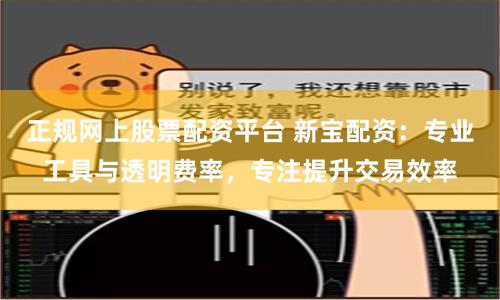 正规网上股票配资平台 新宝配资：专业工具与透明费率，专注提升交易效率