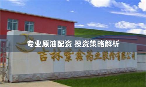 专业原油配资 投资策略解析